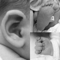 15740863_10210221110836862_6522973026630650662_n