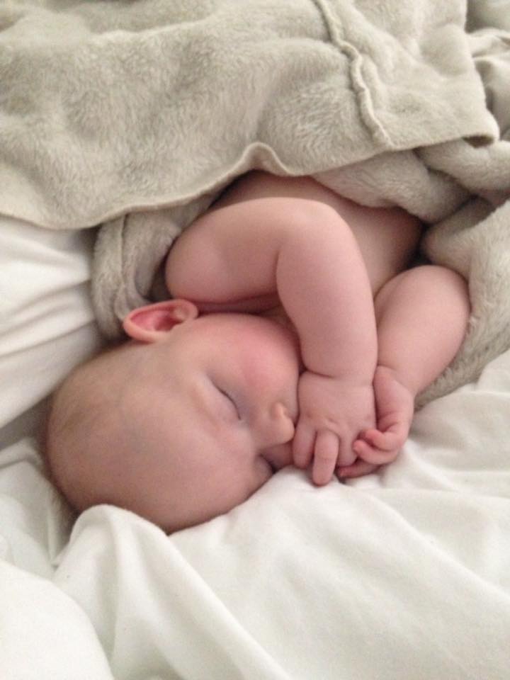 18425014_10211363901125905_2267678162042249093_n